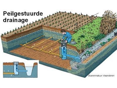 Presentaties studiedag 'Opportuniteiten voor peilgestuurde drainage'