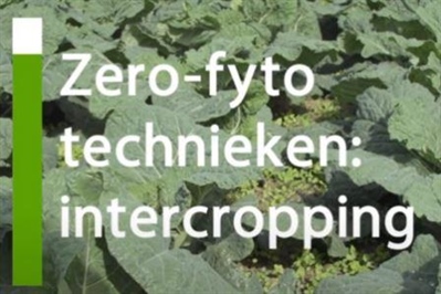 Video 'Plaagbeheersingsmethoden zonder (bio)pesticiden'