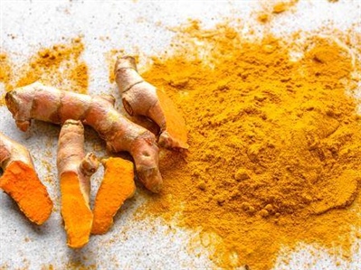 Curcuma: from cultivation to biobased colorant
