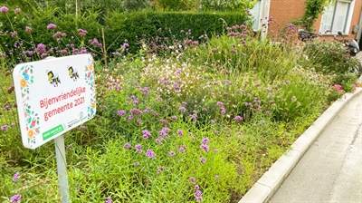 Vormingsmoment groenvoorziening: biodivers groen - Oudenaarde