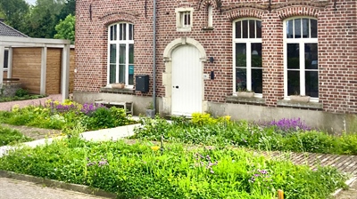 Vormingsmoment groenvoorziening: biodivers groen - Geraardsbergen