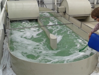 Video 'Natuurlijke blauwe kleurstof uit Spirulina'
