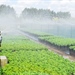 Webinar Biostimulanten: uitwisselen van kennis