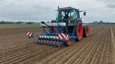 Uien 2.0: goed begonnen is half gewonnen