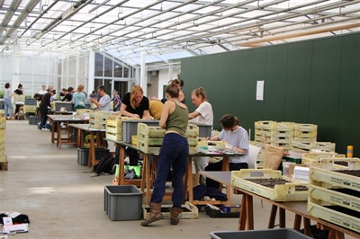 Samenzaai biobloemen 2025 - Destelbergen