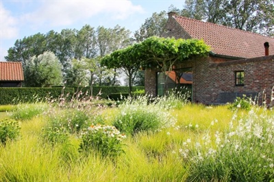 Workshop 'Wat is weerstand en hoe ga je ermee om?' - Kortrijk