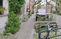 Workshop Tuinstraat op maat van jouw stad of gemeente - Leuven