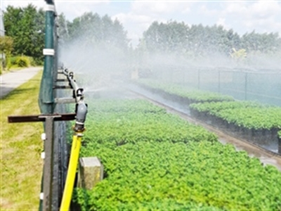 Kennisuitwisseling rond het gebruik van biostimulanten