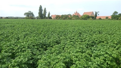 Effect van fractioneren van N-bemesting