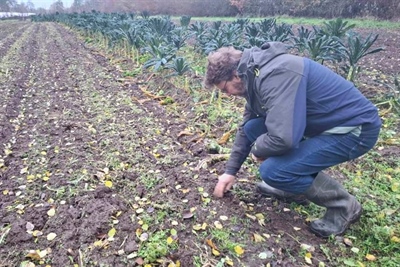 Thematisch Uitwisselingsmoment Bodemzorg in de kijker - Deinze