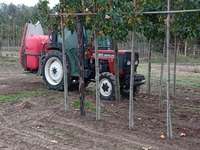 Efficiënte spuittechniek in de laanbomenteelt: alleen maar voordelen!