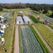 Save the date: Netwerkdag Techniek in bio tuinbouw - Afsnee
