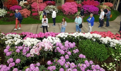 Viaverda op Floraliën Gent: sterk onderzoek in beeld