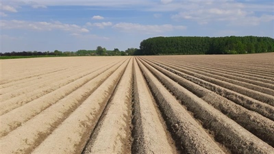 Aardappelplantseizoen kent vlotte start