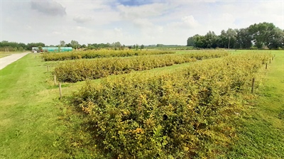 CLOSECYCLE: kringlopen sluiten met producten uit organische reststromen op regionaal niveau