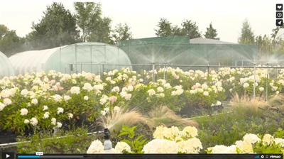 Video 'Interreg-project NuReDrain'