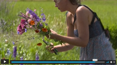 Video 'Onderzoek voor biobloementeelt'