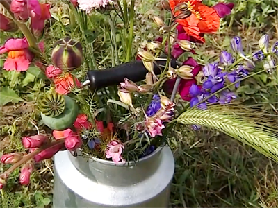 Video 'Biobloemen: teeltoptimalisatie en verruiming afzetperiode'