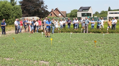 Presentaties Studiedag Boomkwekerij 2022