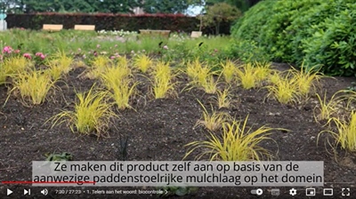 Video 'Tips van siertelers: welke biocontrolemiddelen, bodemverbeteraars en veenvervangers gebruik je best?'