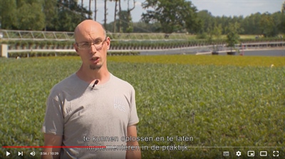 Video 'Innovatieve plaagbeheersing in de sierteelt'