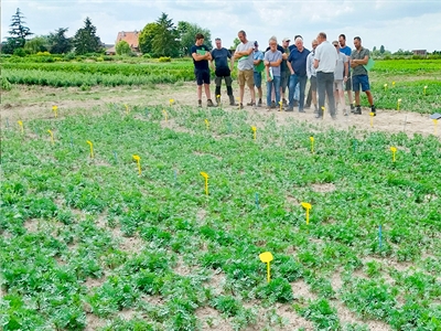 Presentaties bezoek demoplatform bos- en sierboomkwekerij 2023