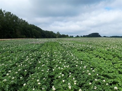 KLIMROB: slimme combinatie van teeltkeuze en technologie voor een rendabele klimaatrobuuste land- en tuinbouw