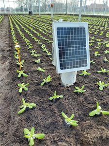 MIRLET.C4G - Model IRrigation in LETuce.Care4